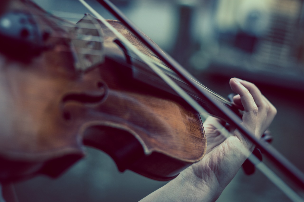 Violinista para eventos